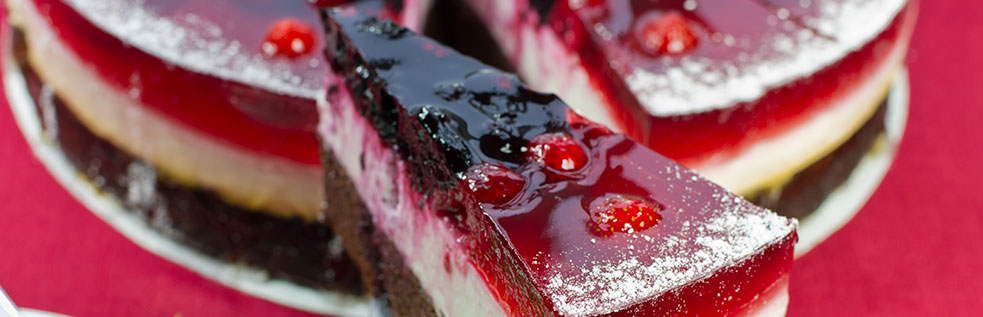 Gelatina de Queso Crema con Frutos Rojos 17