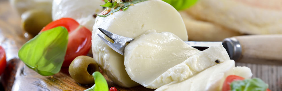 Small Homemade Fresh Cheese